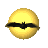 bat